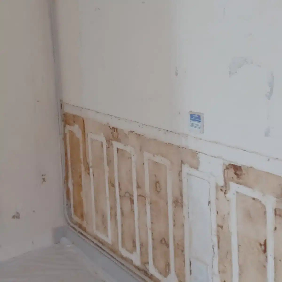 Traitement plomb Plâtres et Enduits